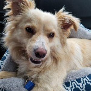 Meet your Posher, Sheri